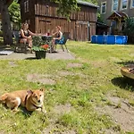 Urlaubsmagie - Ferienwohnung Tagpfauenauge - Garten Mit Terrasse & Saisonaler Pool Apartament Sebnitz
