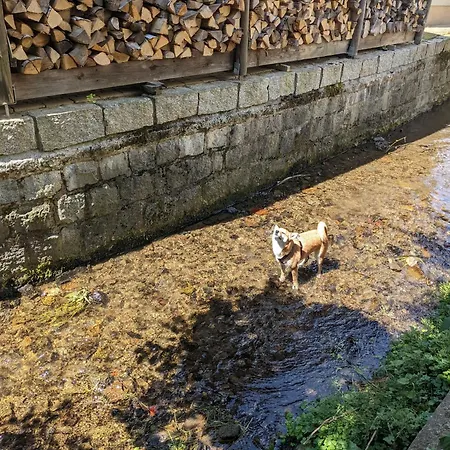 H1 - Urlaubsmagie - Pool & Terrasse Zum Entspannen דירה