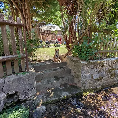 Urlaubsmagie - Tagpfauenauge - Garten Mit Terrasse & Saisonaler Pool Lejlighed *
