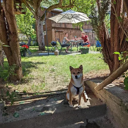 Lejlighed Urlaubsmagie - Tagpfauenauge - Garten Mit Terrasse & Saisonaler Pool *