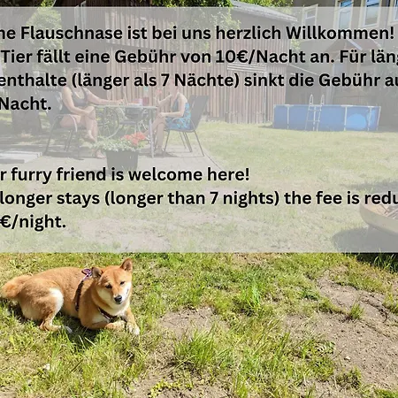 Urlaubsmagie - Ferienwohnung Tagpfauenauge - Garten Mit Terrasse & Saisonaler Pool Apartament Sebnitz